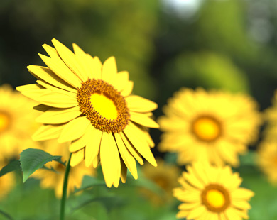 69久久精品无码一区二区