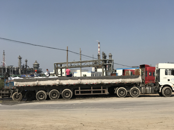 69久久精品无码一区二区