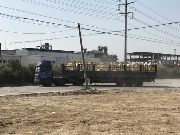 69久久精品无码一区二区