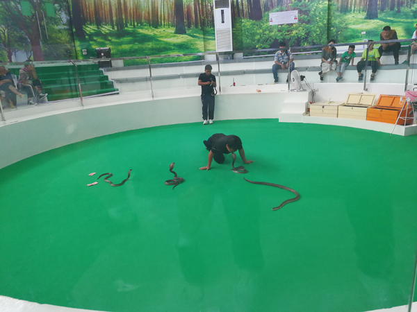 69久久精品无码一区二区