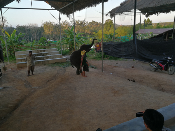 69久久精品无码一区二区