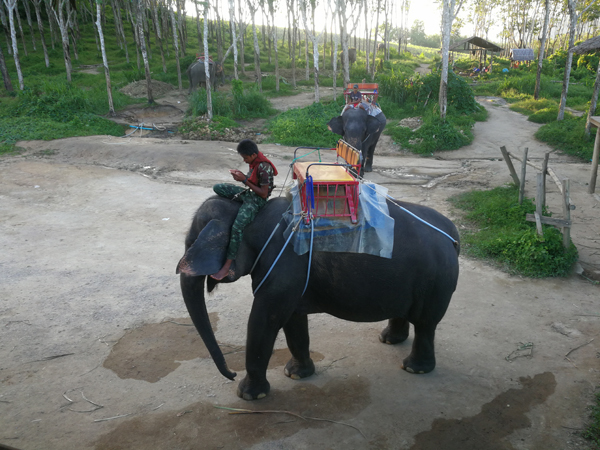 69久久精品无码一区二区