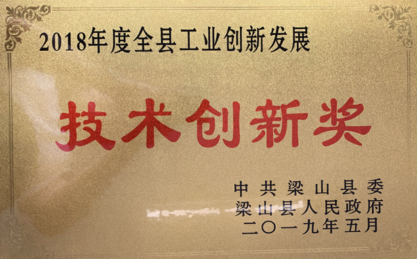 通亚汽车再次荣获技术创新奖