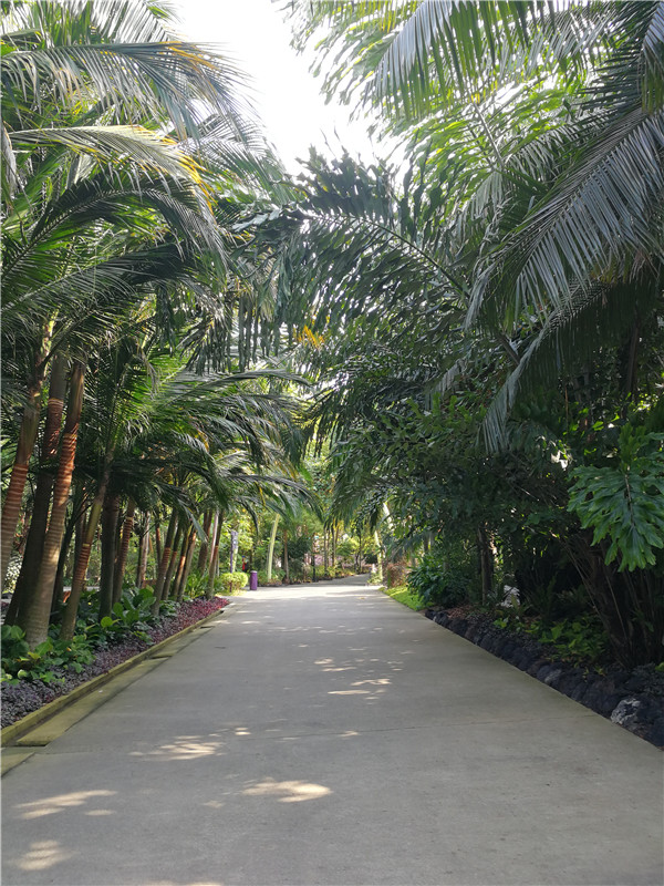 69久久精品无码一区二区